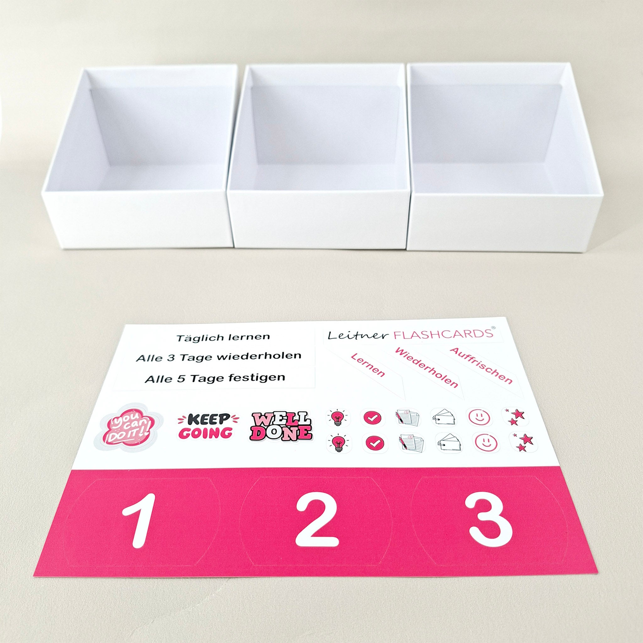 Leitner Learning System Boxes – Pink Edition