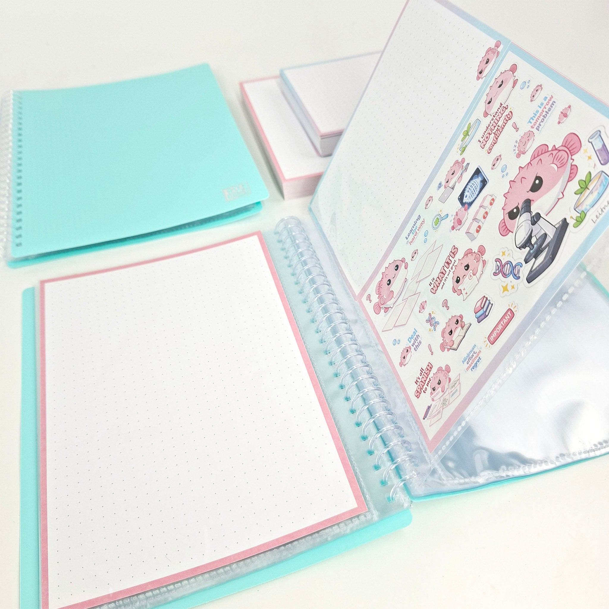 Oxford Display Book A5 pastel blue