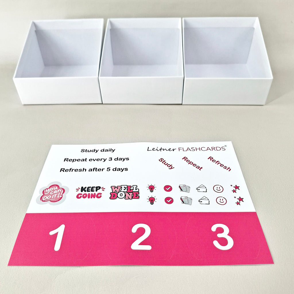 Leitner Learning System Boxes – Pink Edition