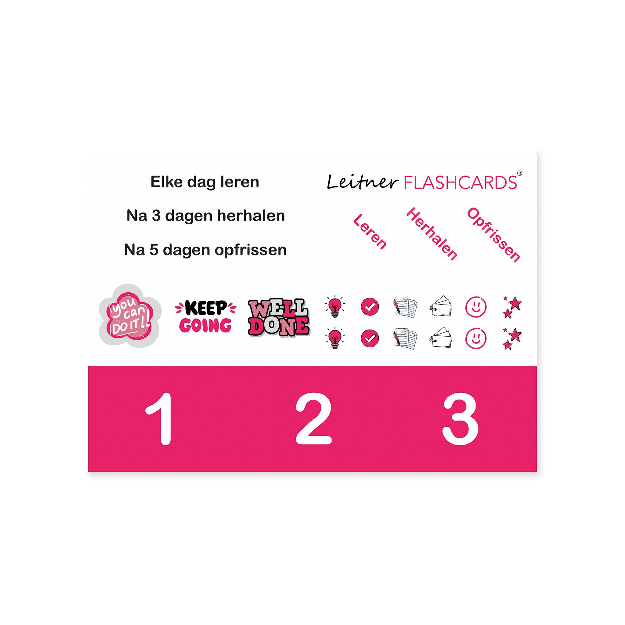 Leitner Learning System Boxes – Pink Edition
