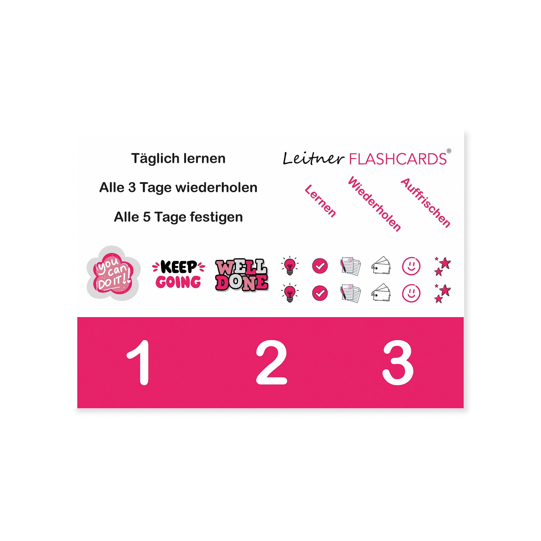Leitner Learning System Boxes – Pink Edition