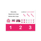 Leitner Learning System Boxes – Pink Edition