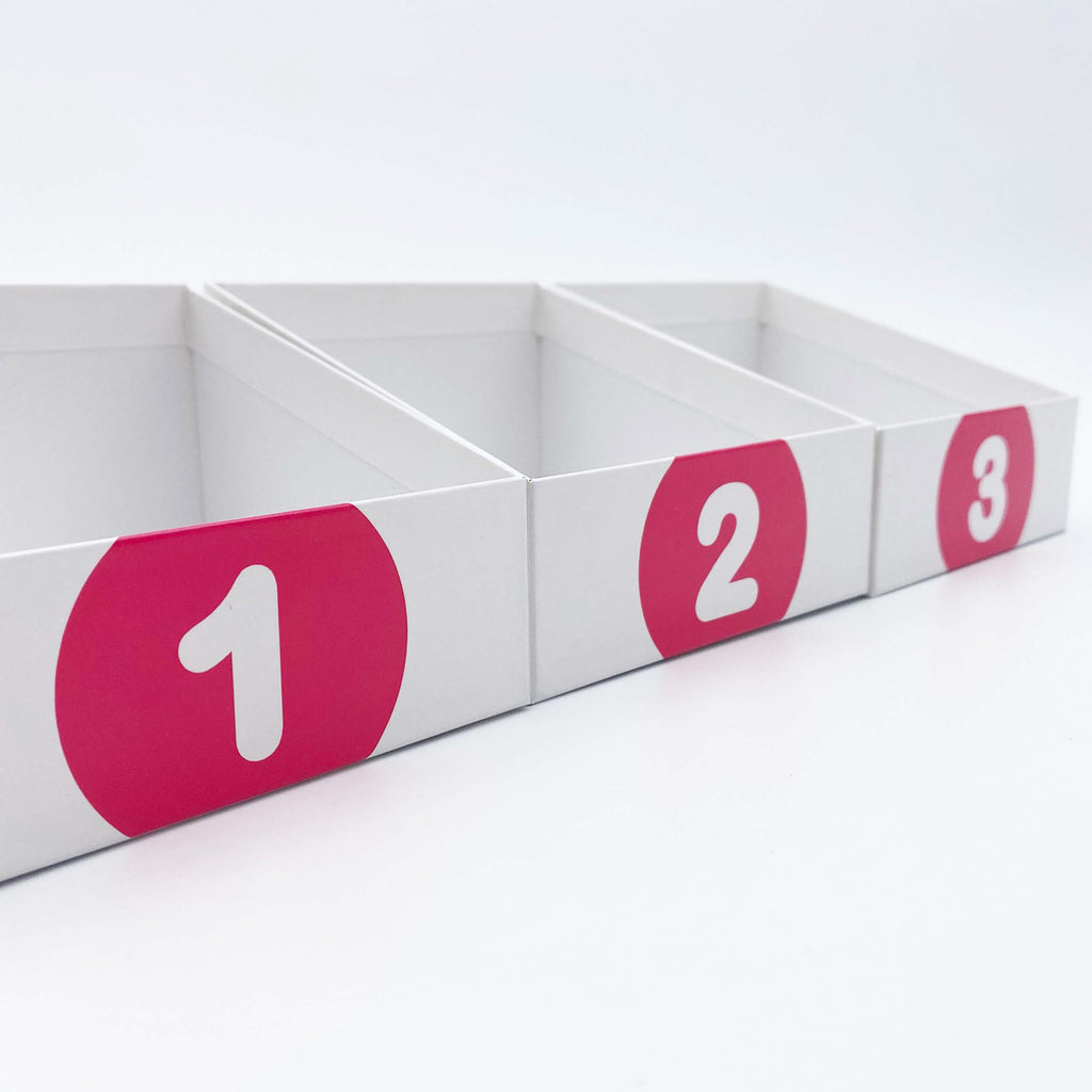 Leitner Learning System Boxes – Pink Edition