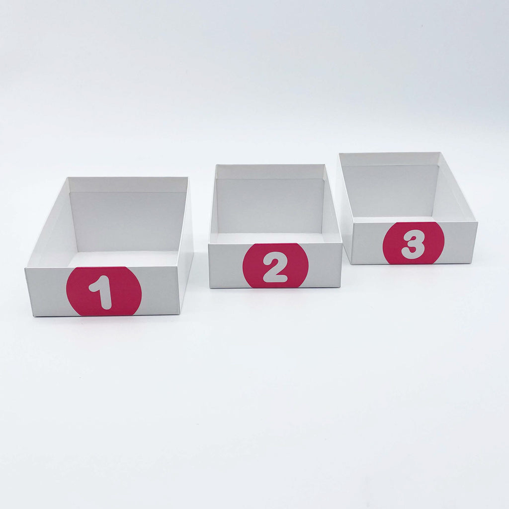 Leitner Learning System Boxes – Pink Edition
