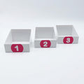 Leitner Learning System Boxes – Pink Edition
