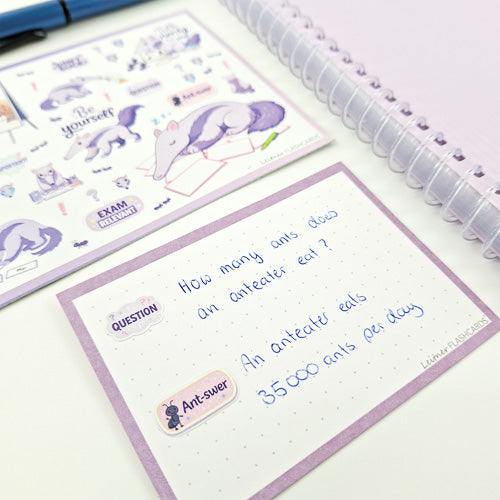 Leitner Flashcards Animal Stickers A6 - Anteater