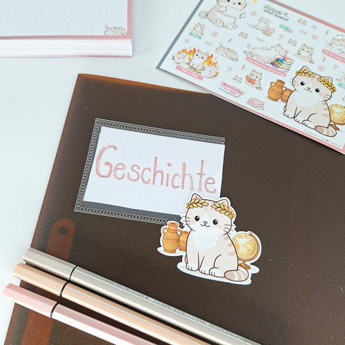 Leitner Flashcards Animal Stickers A6 - Cat