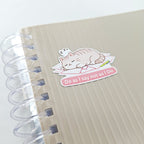 Leitner Flashcards Animal Stickers A6 - Cat
