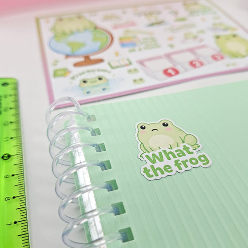 Leitner Flashcards Animal Stickers A6 - Frog