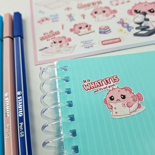 Leitner Flashcards Animal Stickers A6 - Pufferfish