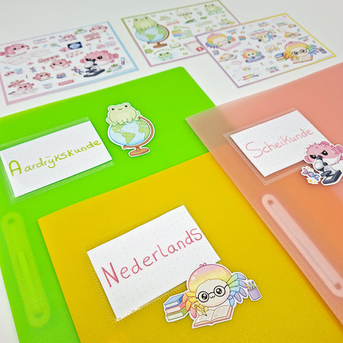 Leitner Flashcards Animal Stickers A6 - Spider