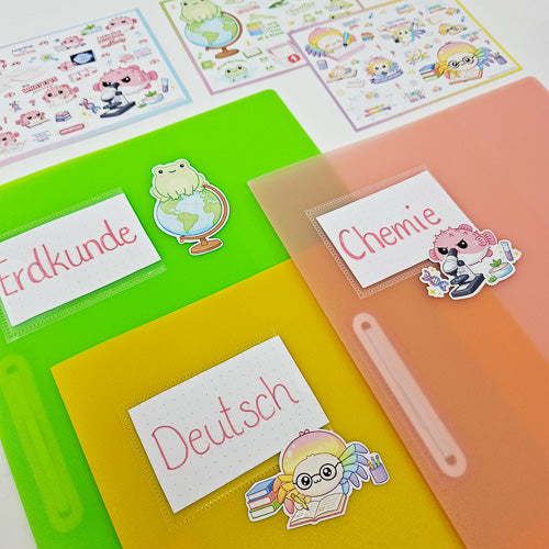 Leitner Flashcards Animal Stickers A6 - Spider