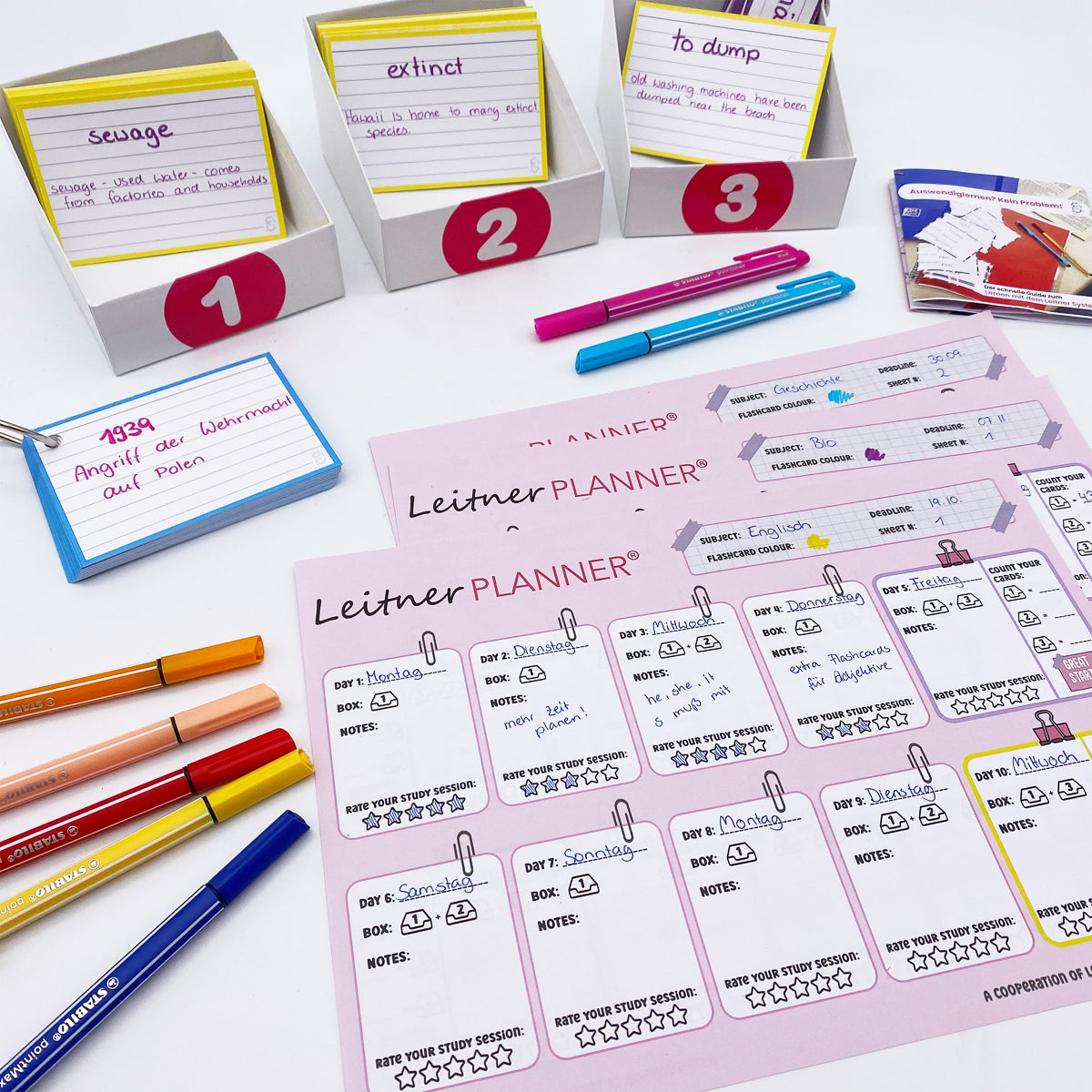 Leitner Flashcards Planner A4 Pink