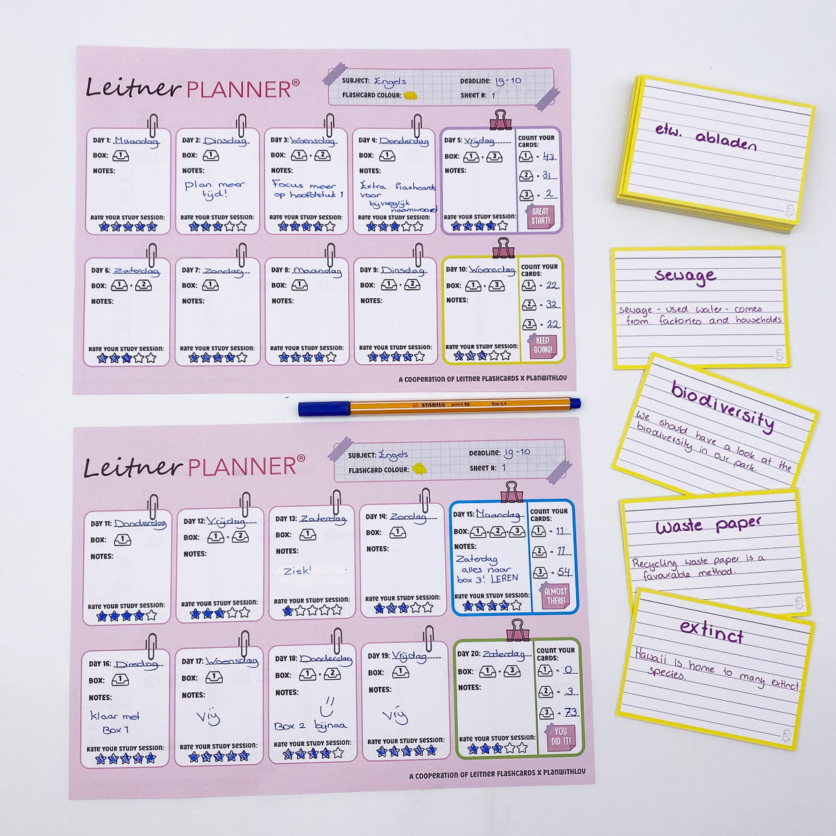 Leitner Flashcards Planner A4 Pink