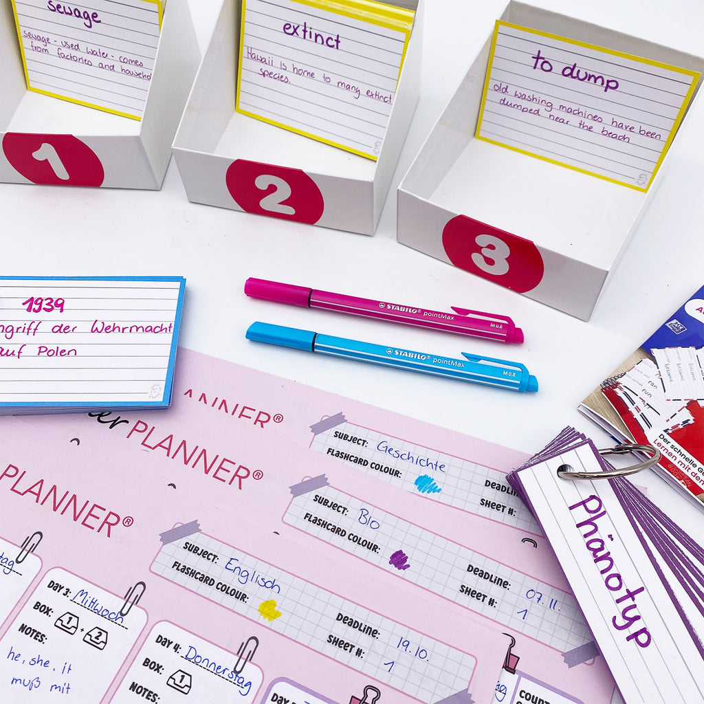 Leitner Flashcards Planner A4 Pink