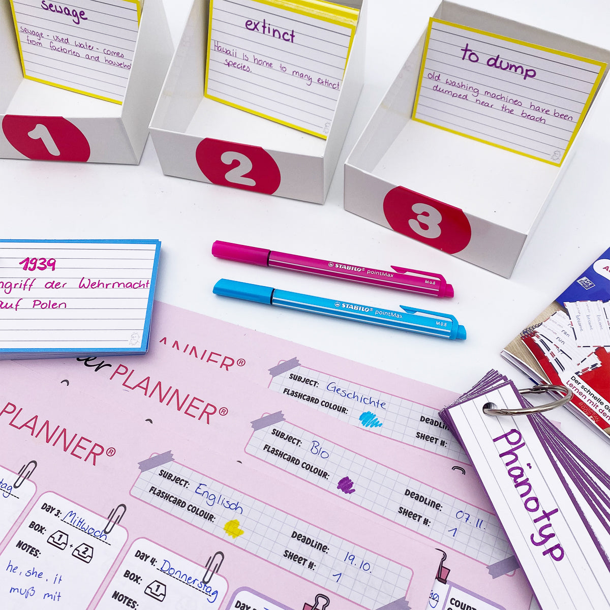 Leitner Flashcards Planner A4 Pink