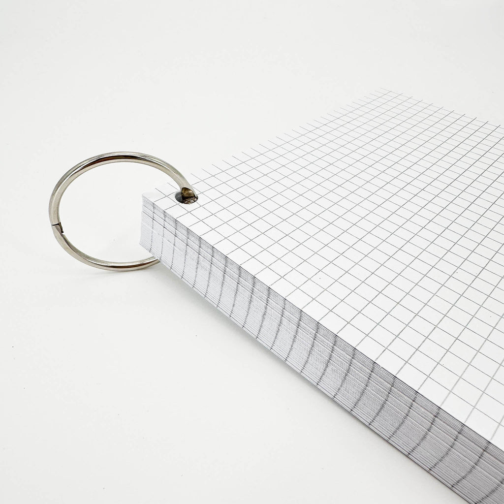 Leitner Flashcards A5P Classic Squared white 4