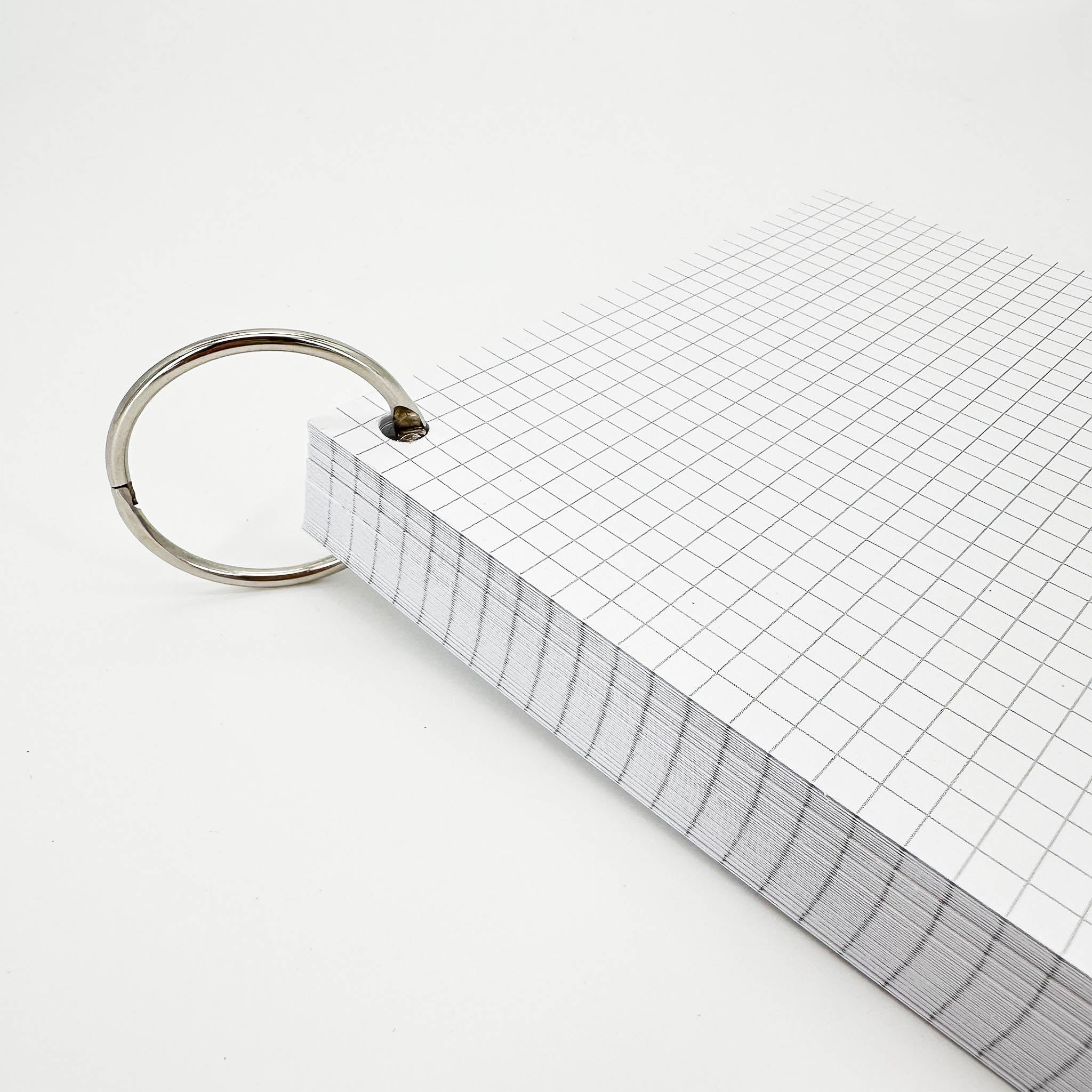 Leitner Flashcards A5P Classic Squared white 4