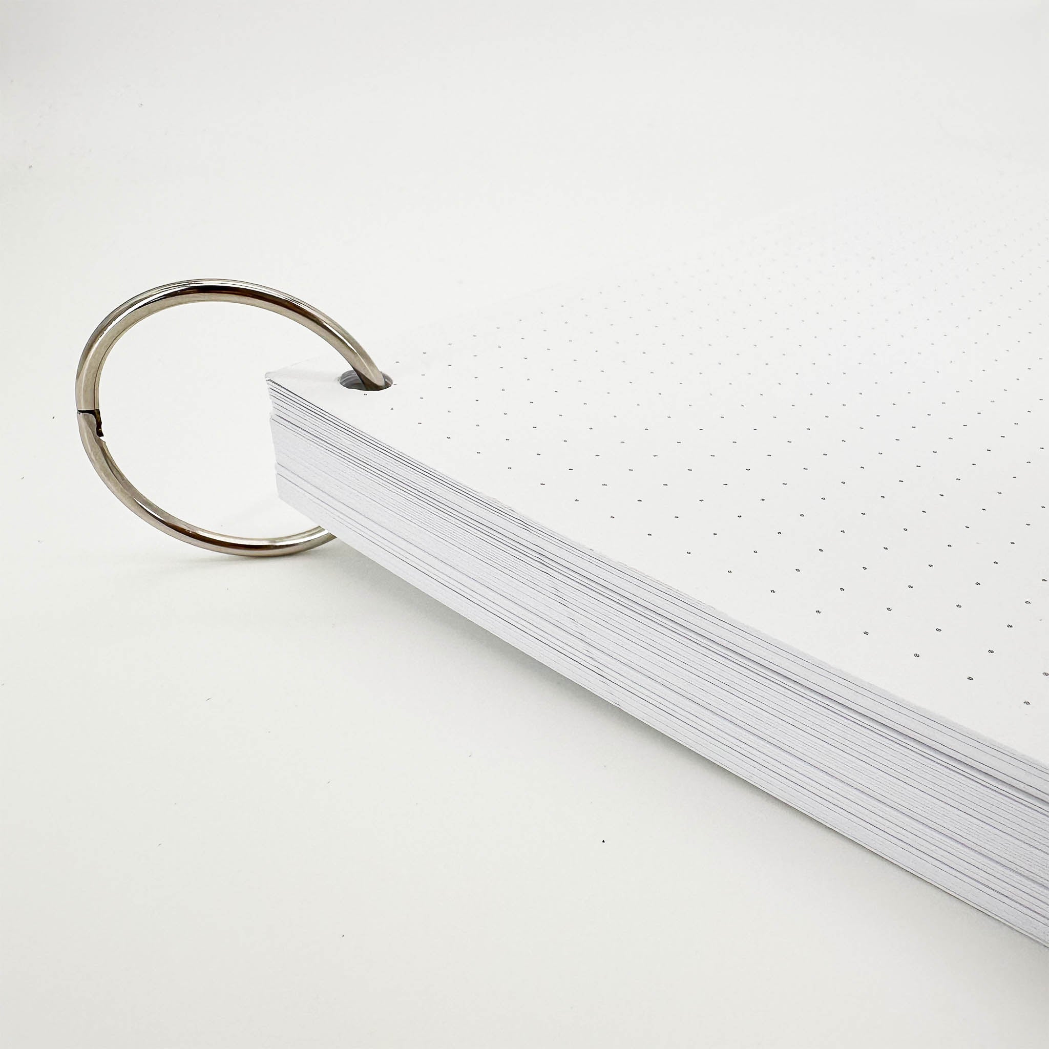 Leitner Flashcards A5L Classic Dotted white 4