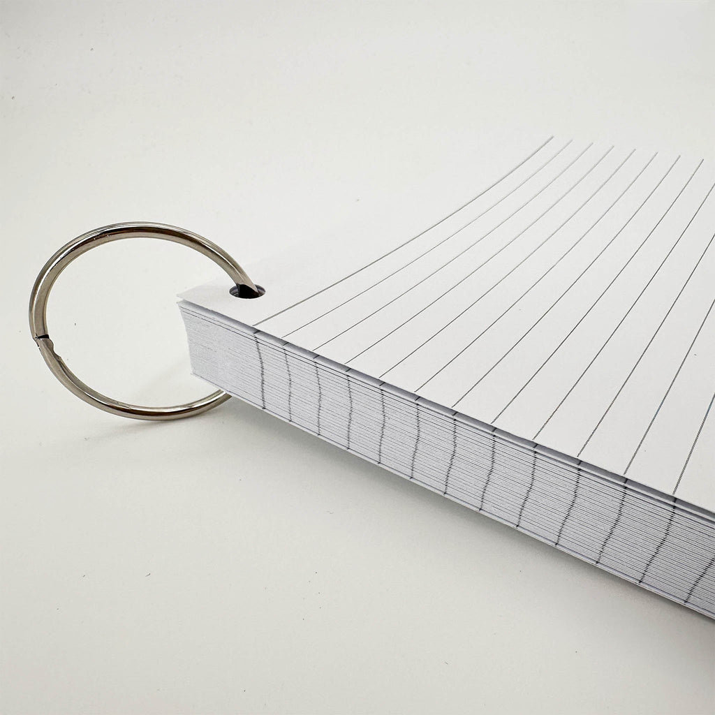 Leitner Flashcards A5P Classic Lined white 4