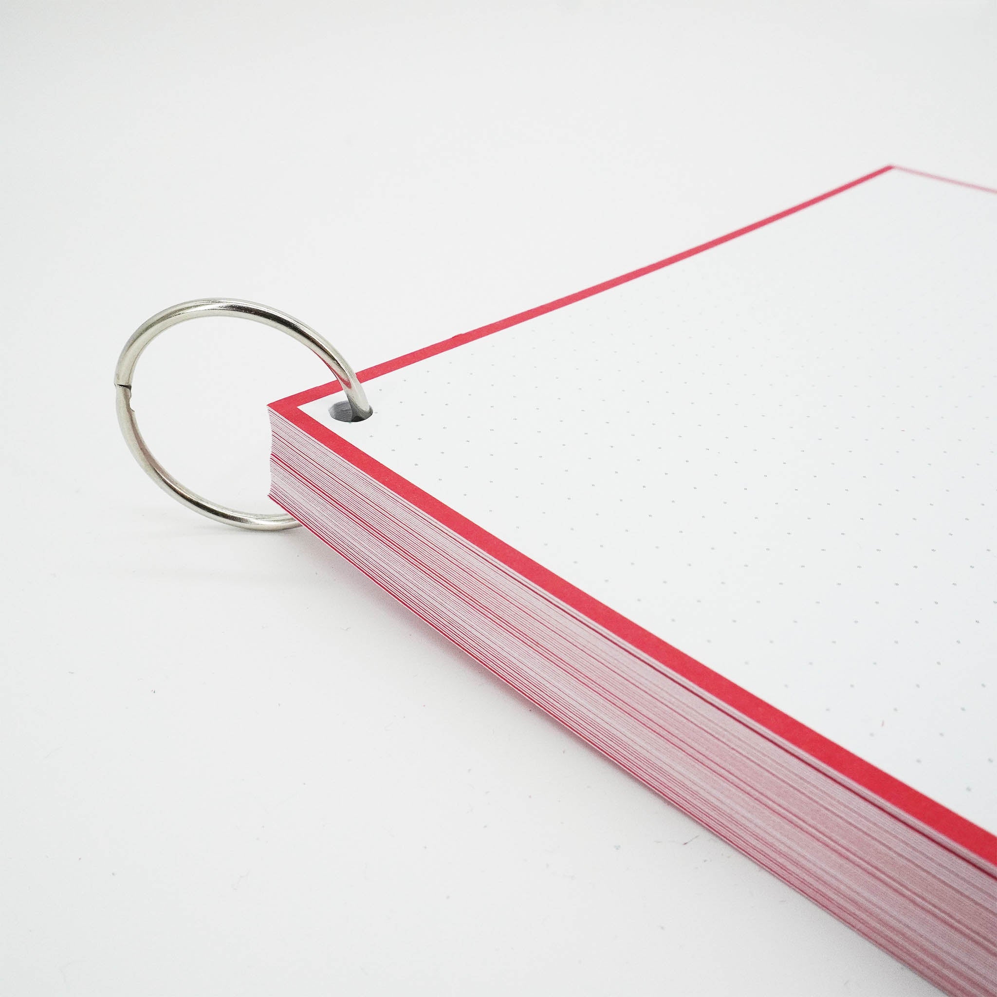 Leitner Flashcards A5 Classic Dotted red 3