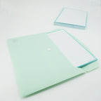 Leitner Flashcards A5P Pastel Lined green