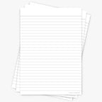 Leitner Flashcards A5P Classic Lined white
