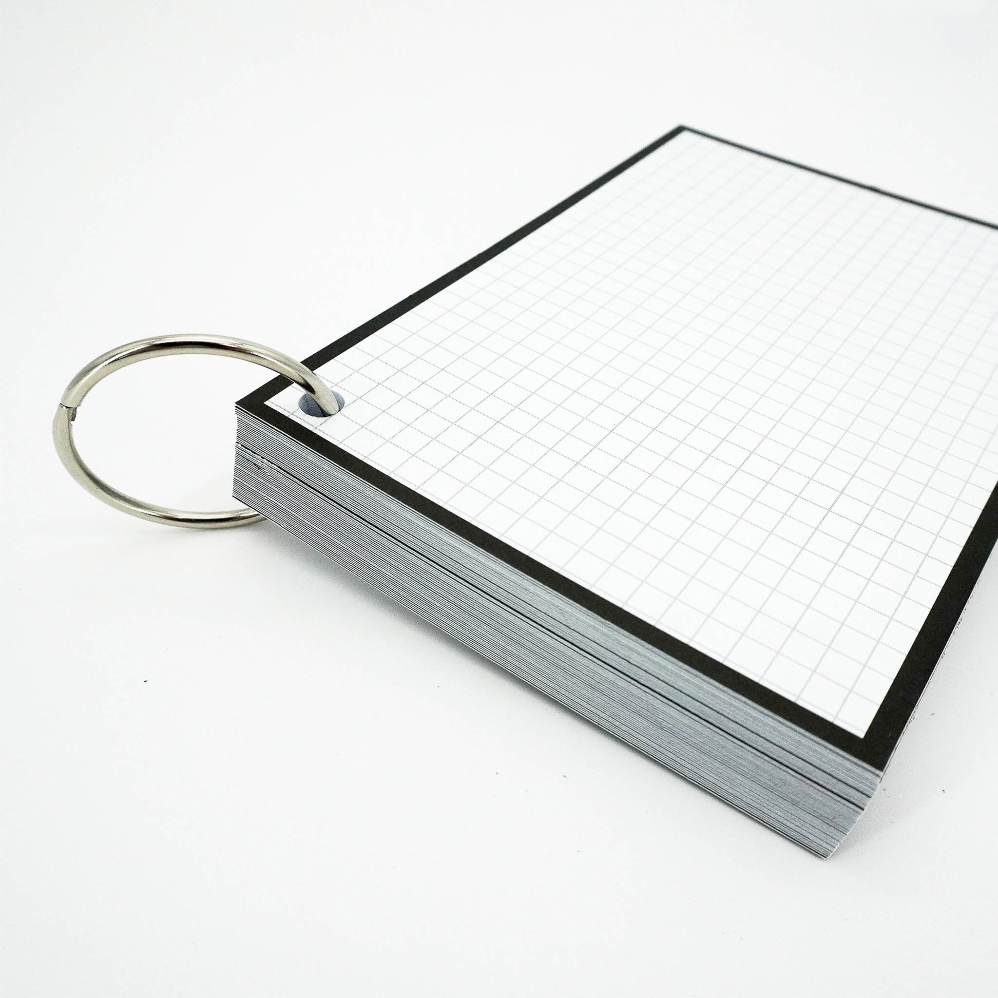 Leitner Flashcards A6 Classic Squared black 5