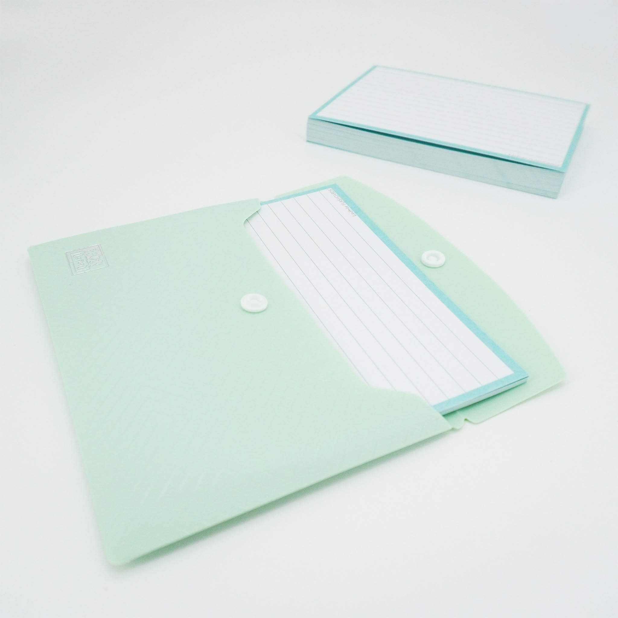 Leitner Flashcards A6 Pastel Lined green in document holder