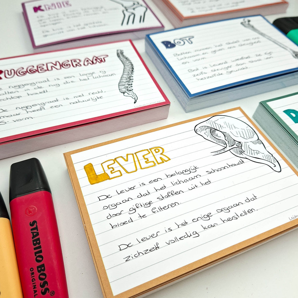 Leitner Flashcards A6 Retro Lined yellow
