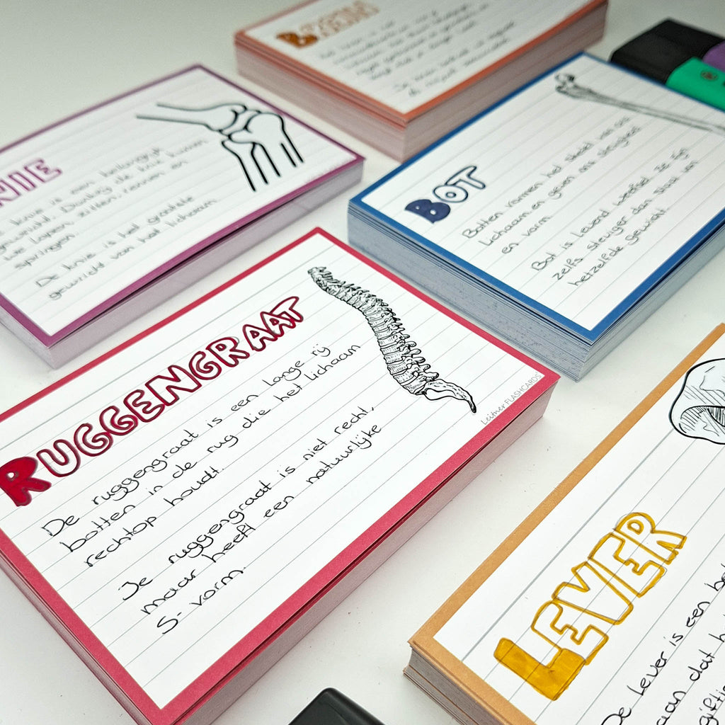 Leitner Flashcards A6 Retro Lined red