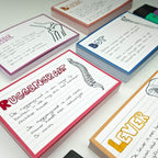 Leitner Flashcards A6 Retro Lined red