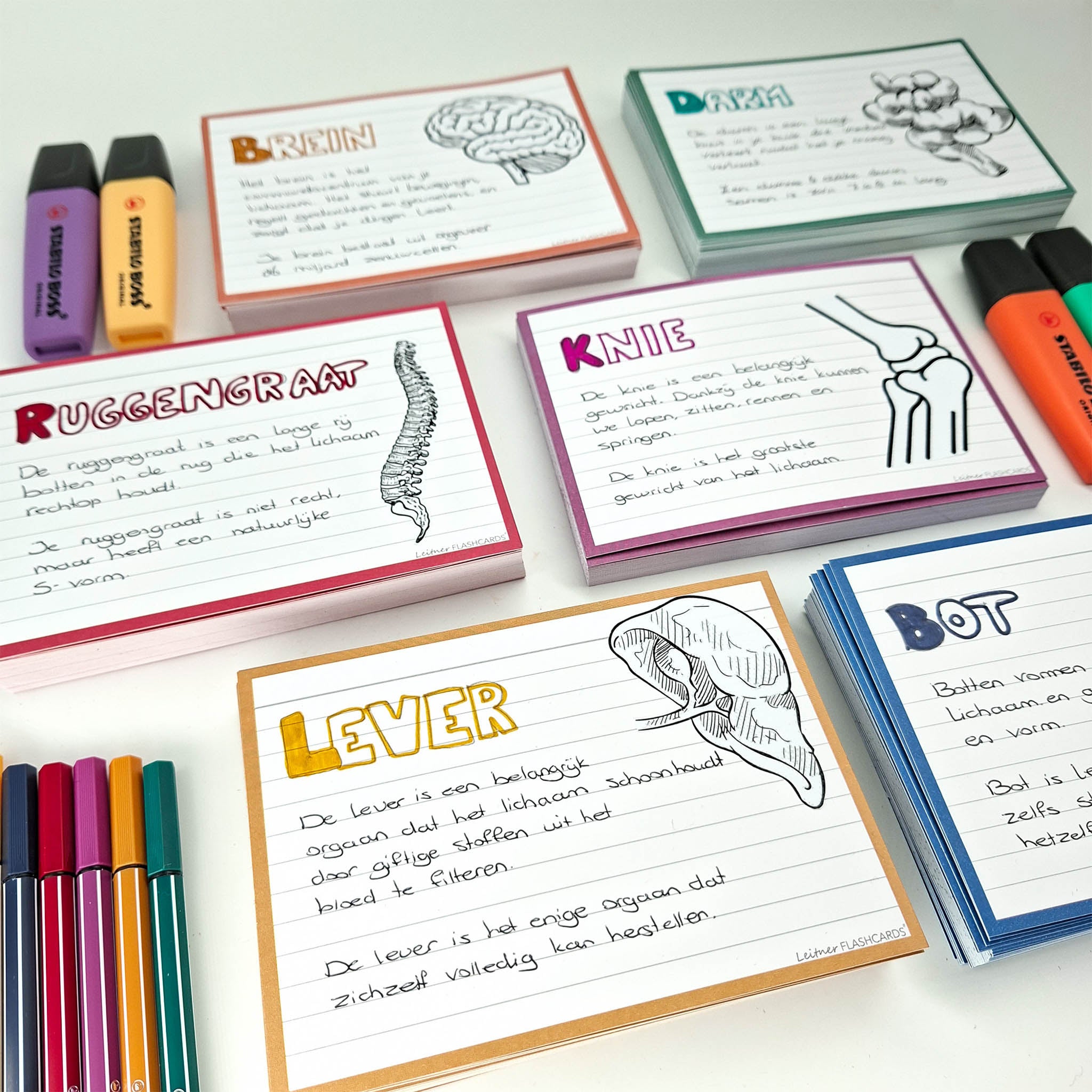 Leitner Flashcards A6 Retro Lined purple