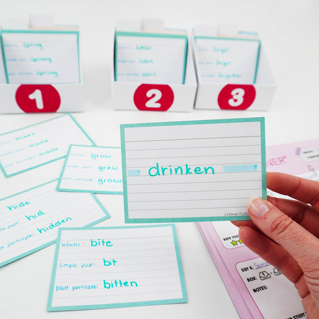 Leitner Flashcards A7 Pastel Lined blue lifestyle 4