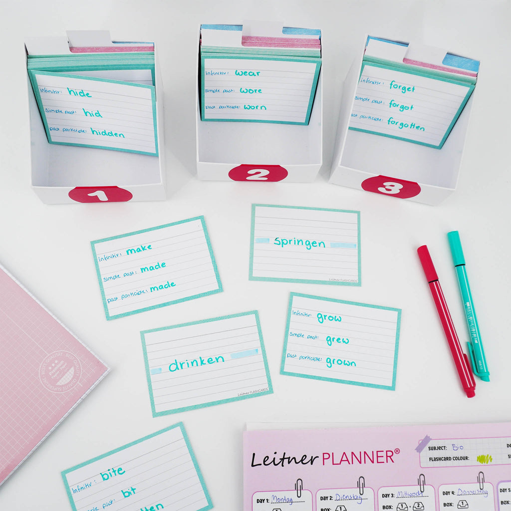 Leitner Flashcards A7 Pastel Lined blue lifestyle 6