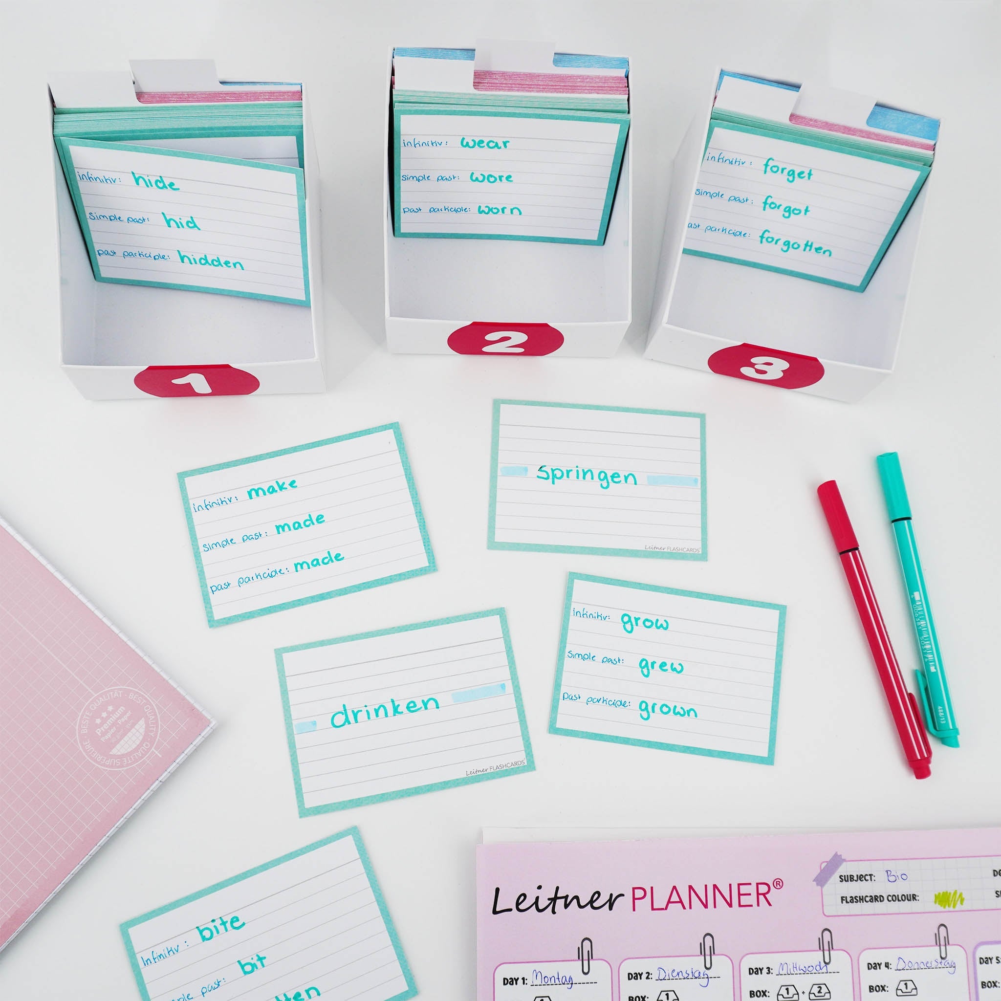 Leitner Flashcards A7 Pastel Lined blue lifestyle 6