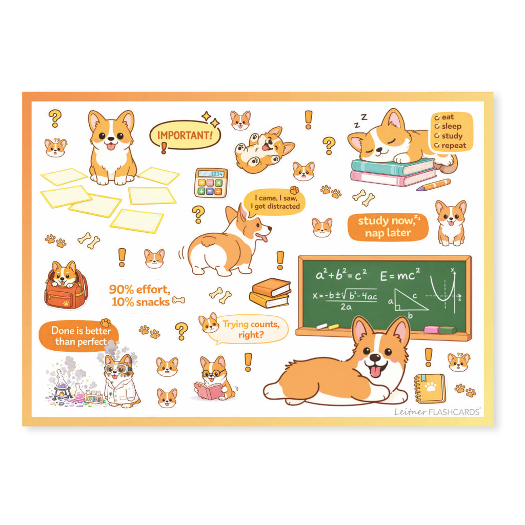 Leitner Flashcards Animal Stickers A6 Corgi