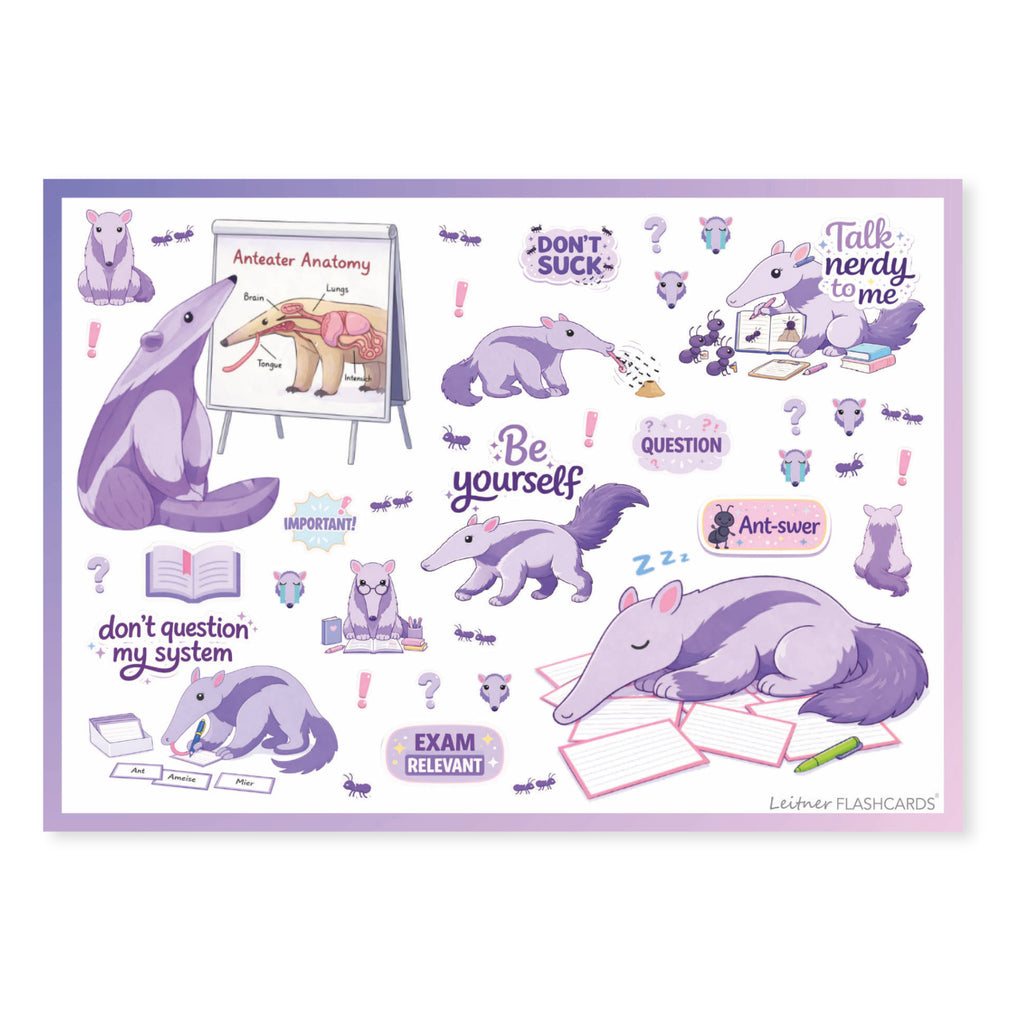 Leitner Flashcards Animal Stickers A6 Anteater