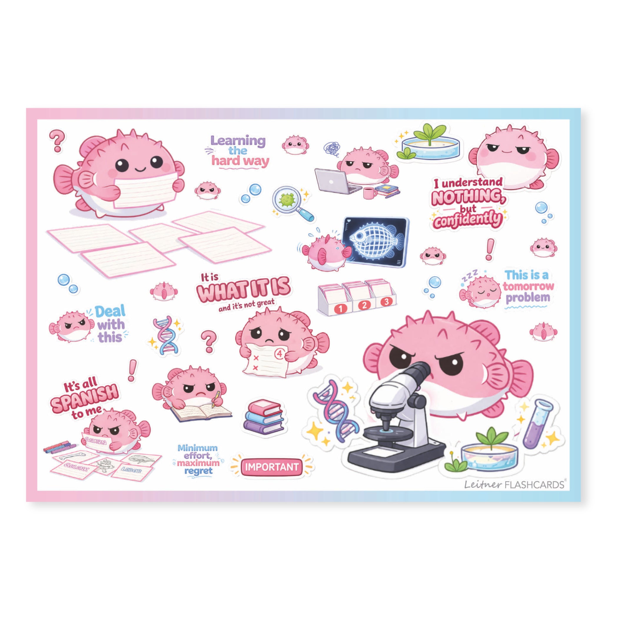 Leitner Flashcards Animal Stickers A6 Pufferfish