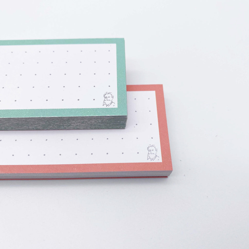 Leitner Vocabulary Cards Duo Dotted - Mint-Peach Ice Tea