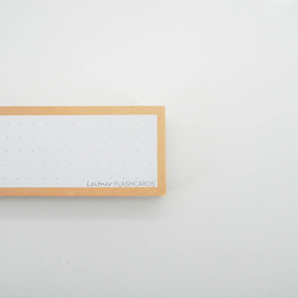 Leitner Vocabulary Cards Pastel Dotted orange 3