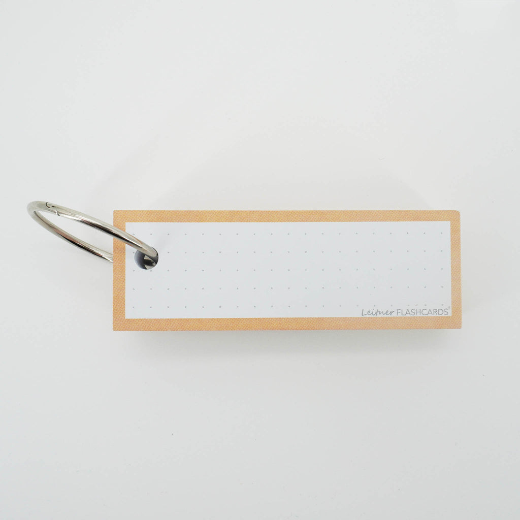 Leitner Vocabulary Cards Pastel Dotted orange 6
