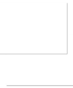 Blank Leitner Flashcards A6